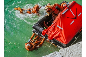 Unsere Kurse im Überblick, finde jetzt den richtigen für dich!