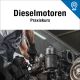 Dieselmotorenkurs 3 Praxiskurs Bäch SZ 16.01.2026