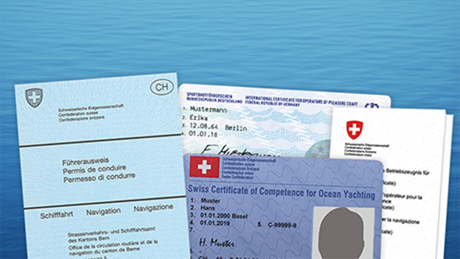 Infos-Ausweise-gross