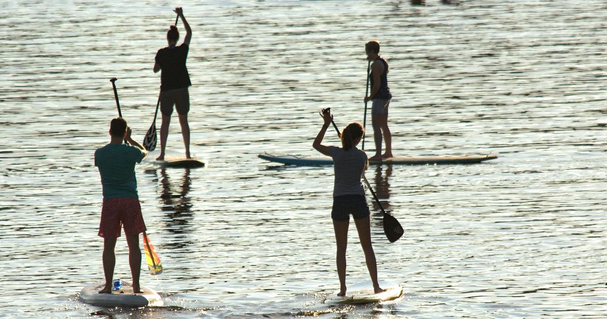 Stand-Up-Paddle sind im Trend.